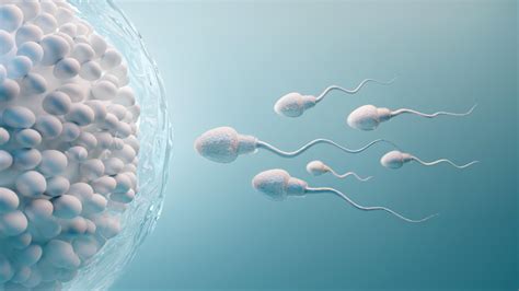 erkek spermi nasıl olmalı